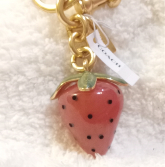CoachX Strawberry Keychain/Bagtag - Picture 8 of 8